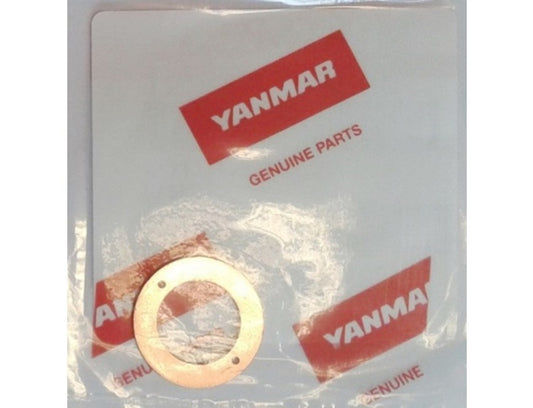 Gasket, Fuel Return